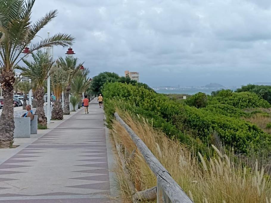 En Primera Linea Del Mar * Arenales del Sol