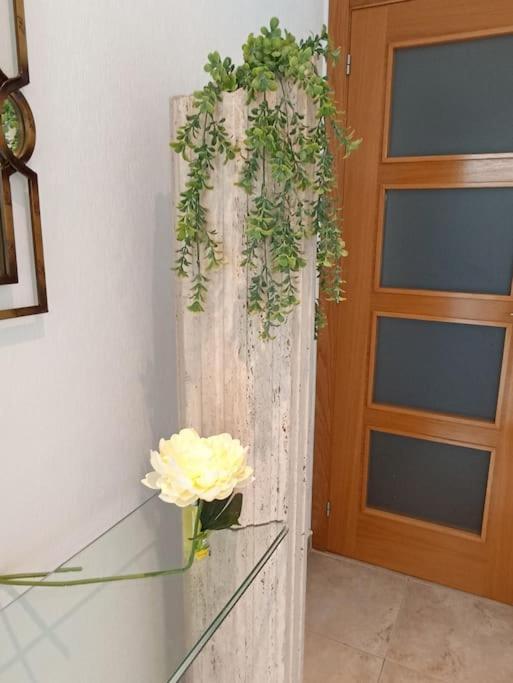 Apartment En Primera Linea Del Mar *